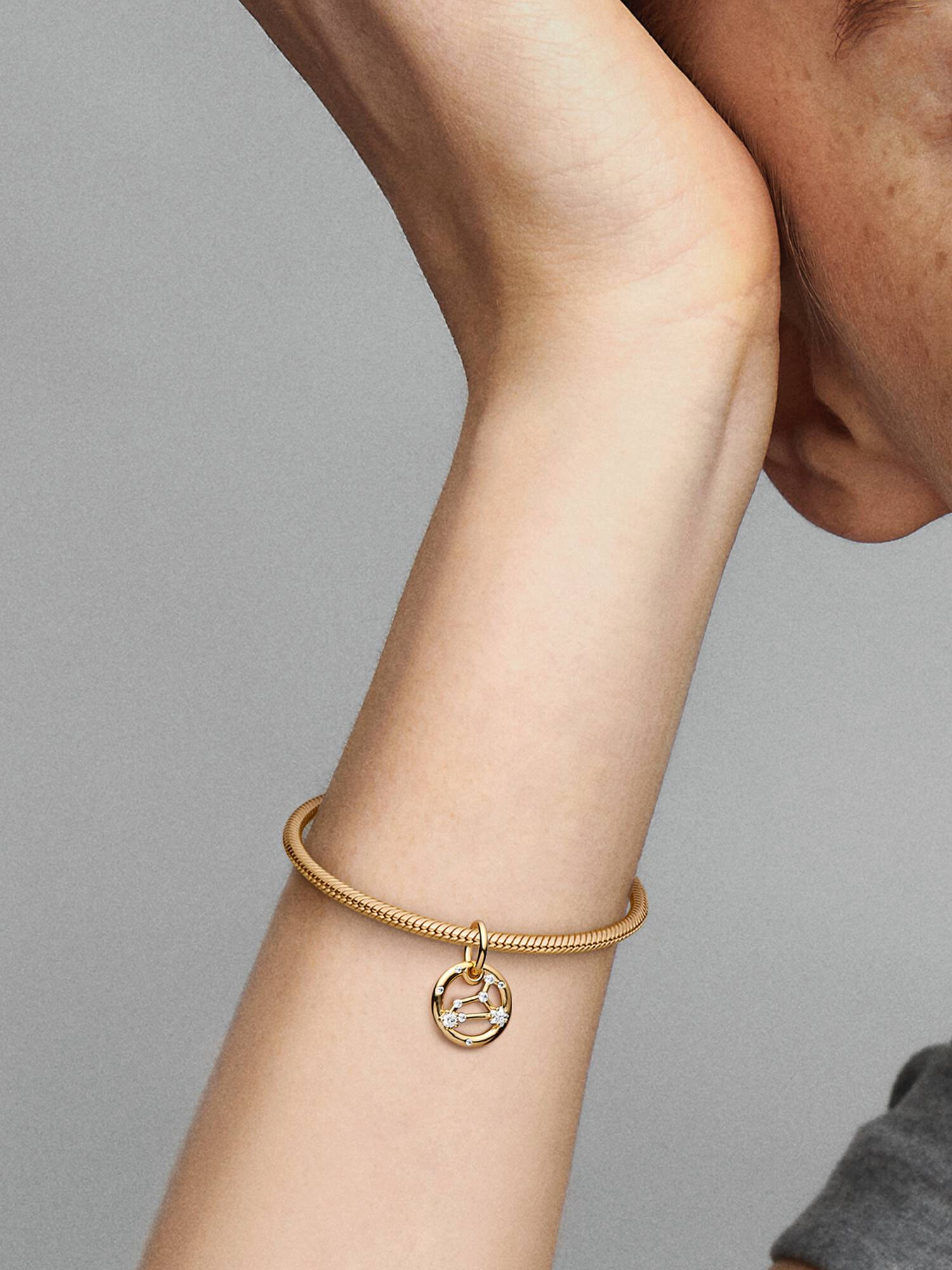 Leo Zodiac Dangle Charm