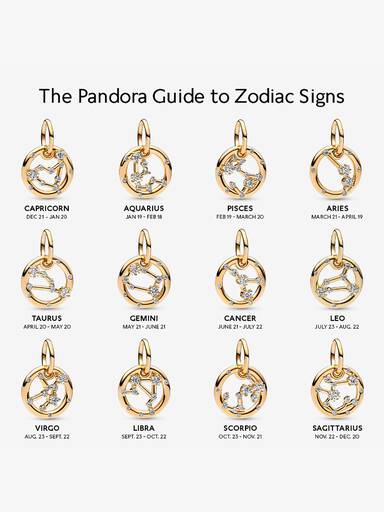 Gemini Zodiac Dangle Charm
