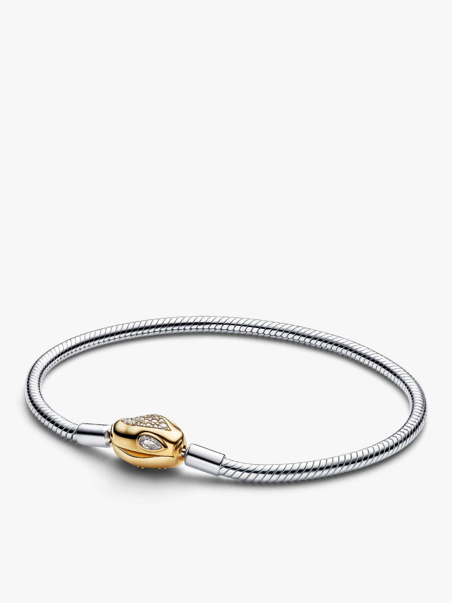 Snake Clasp & Chain Bracelet