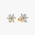 Sparkling Herbarium Cluster Stud Earrings Sparkling Herbarium Cluster Stud Earrings