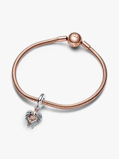 Celestial Compass Angel Wings Dangle Charm