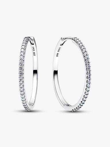 Sparkling Hoop Earrings