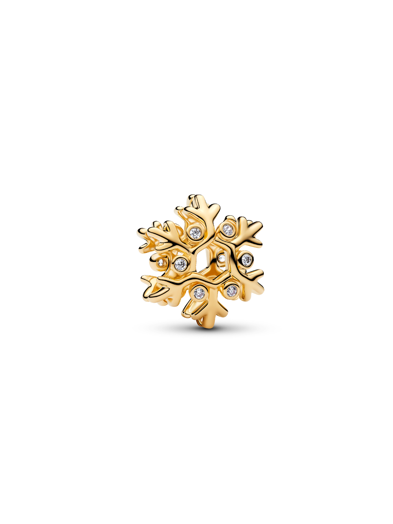 Snowflake Charm