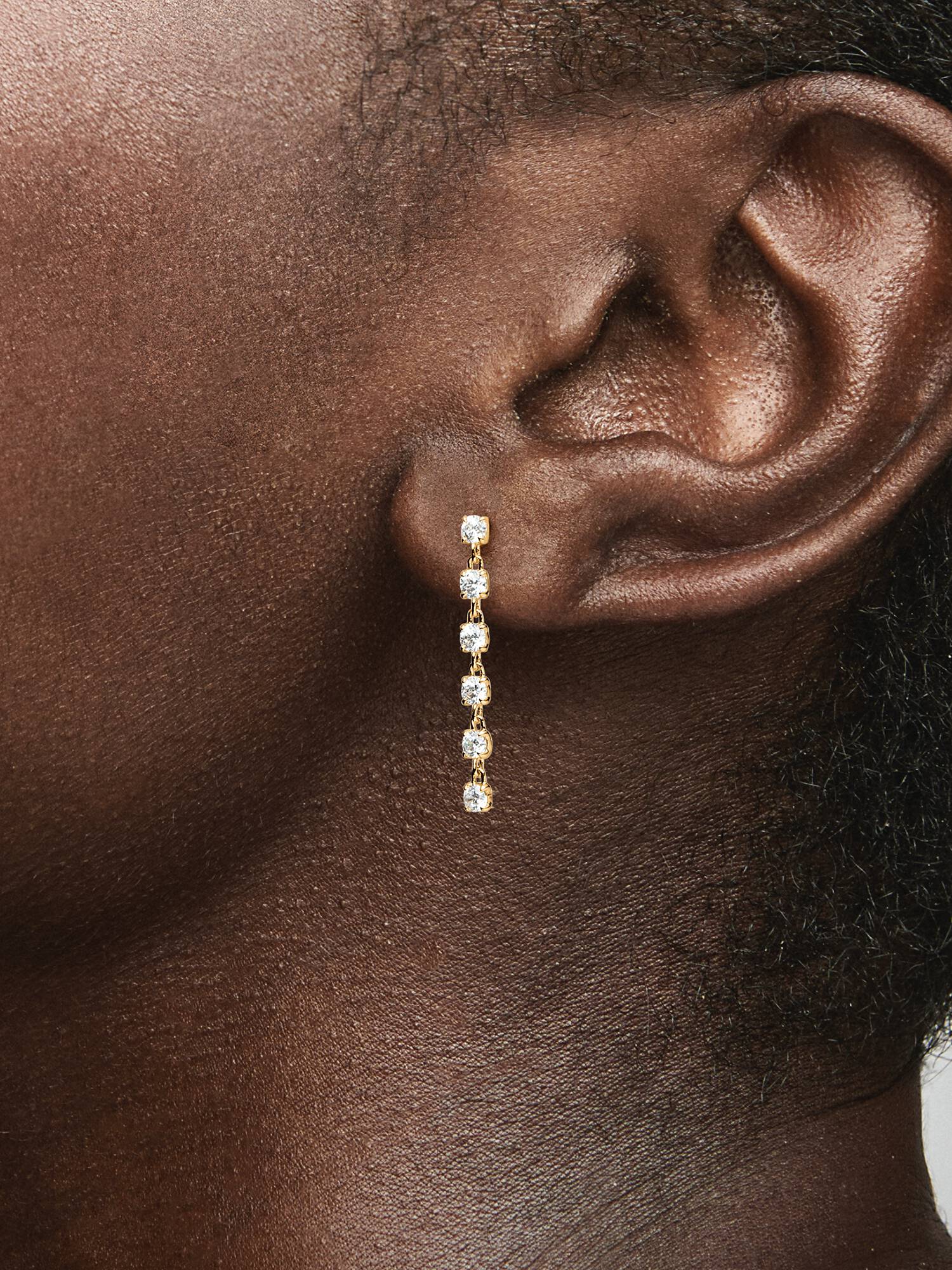 Sparkling Stones Drop Earrings