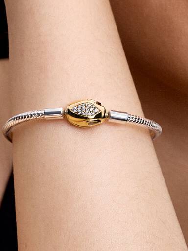 Snake Clasp & Chain Bracelet