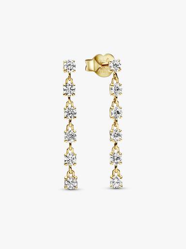 Sparkling Stones Drop Earrings