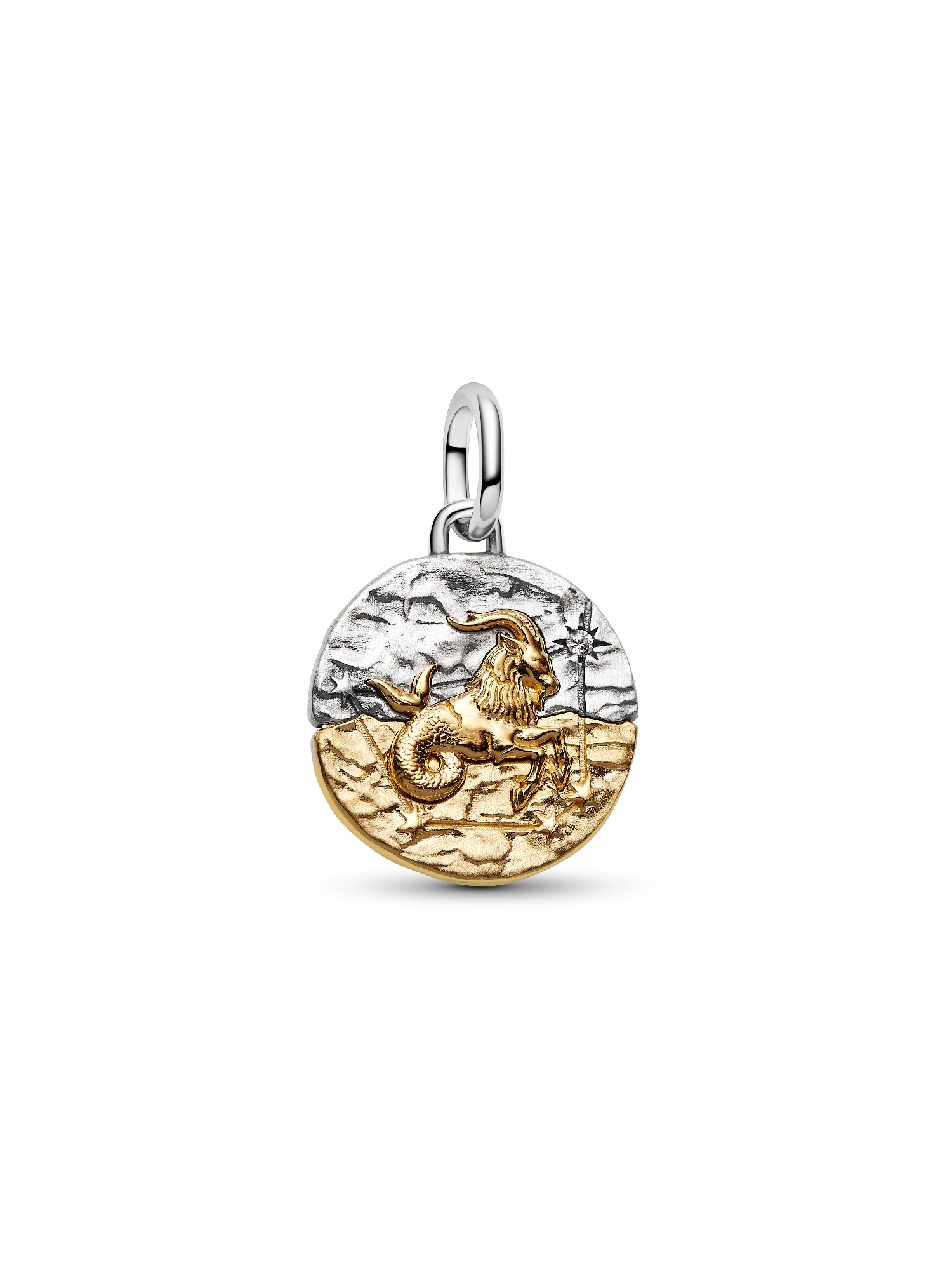 Capricorn Zodiac Medallion Charm