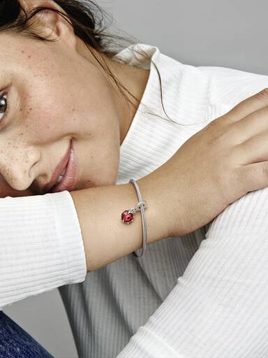 Red Ladybird Dangle Charm
