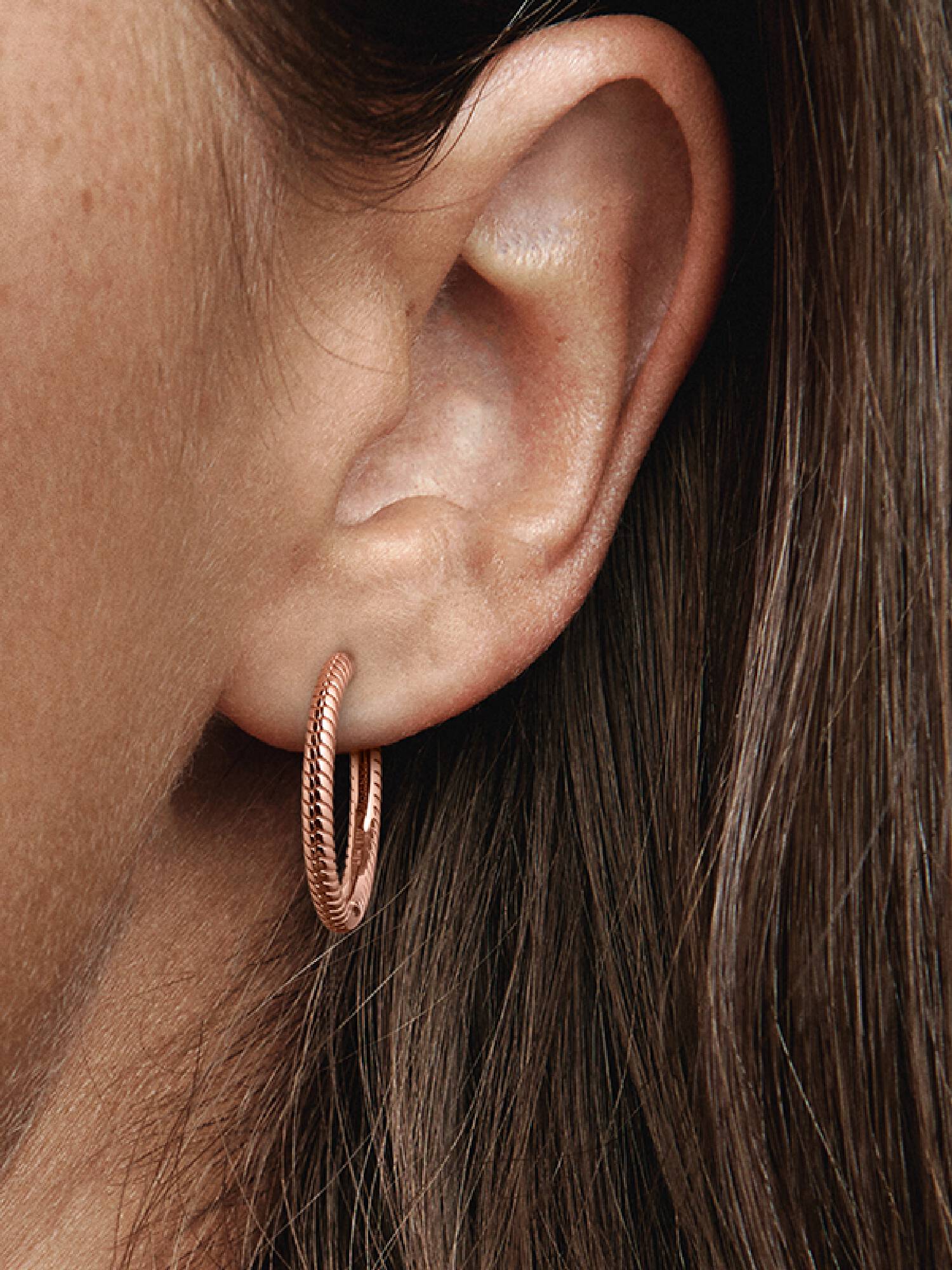 Pandora Moments Charm Hoop Earrings
